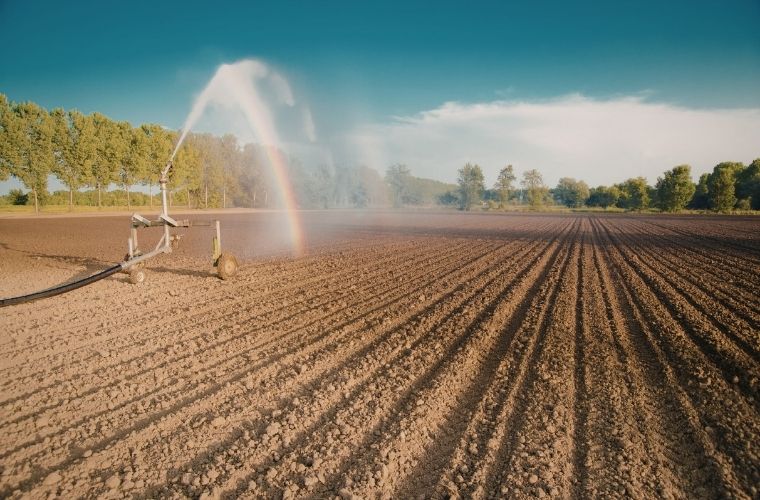 Gayrimenkul yatırımlarında mutlak tarım arazisi nedir ve özellikleri.